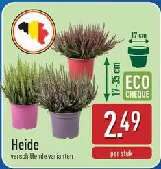 Heide