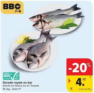 Bbq - Dorade royale ou bar