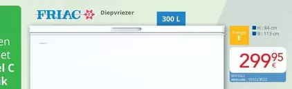 Diepvriezer 300 L