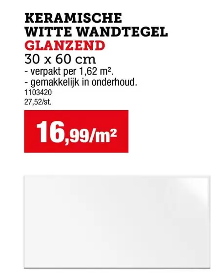 KERAMISCHE WITTE WANDTEGEL GLANZEND 30 x 60 cm