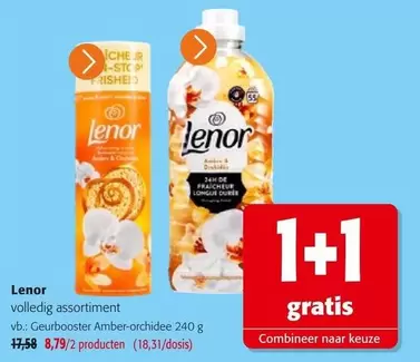 Geurbooster Amber-orchidee