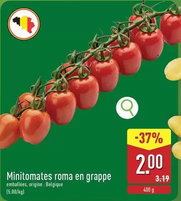 Minitomates roma en grappe