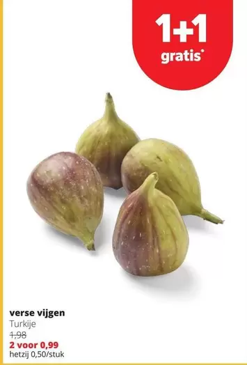 Verse Vijgen