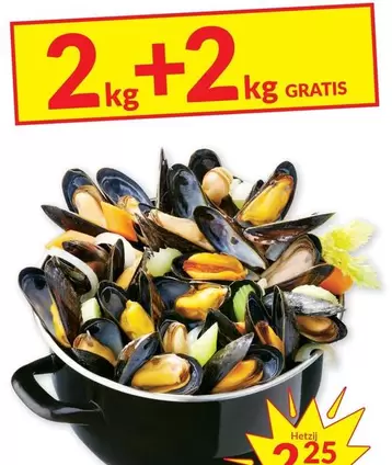 Mussels