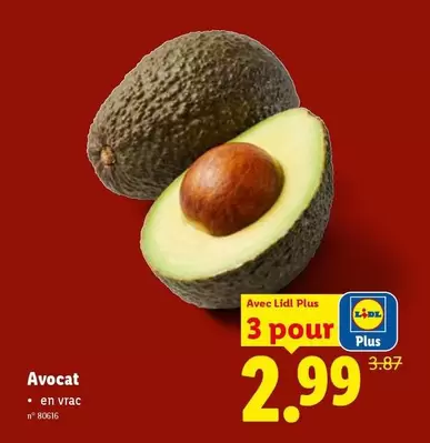 Avocat