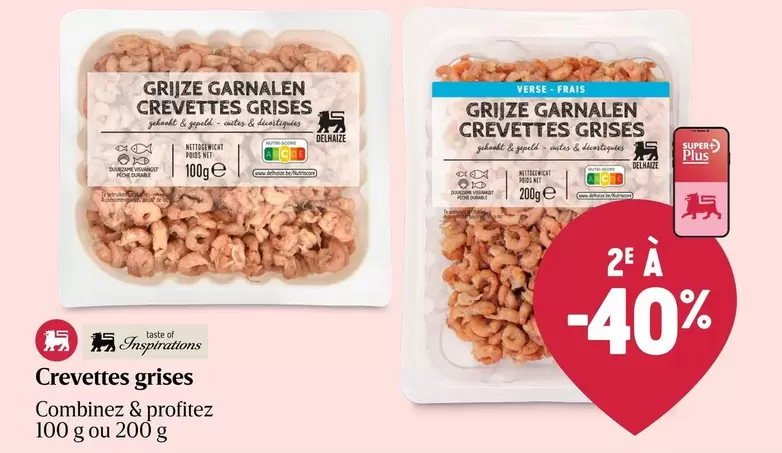 GRIJZE GARNALEN CREVETTES GRISES