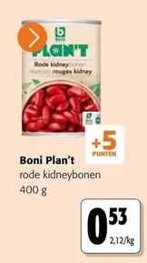 Rode Kidneybonen