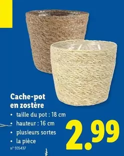 Cache-pot en zostère