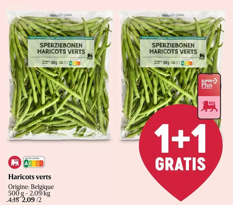 Haricots verts