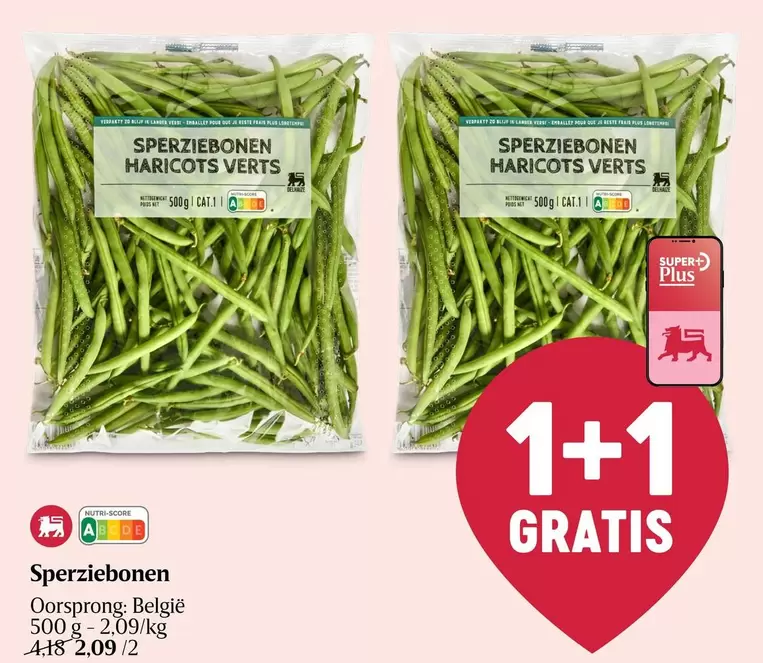 Sperziebonen Haricots Verts