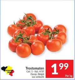 Cat - Trostomaten