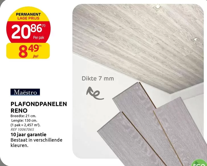 PLA FOND PANE LEN RENO