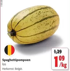 Spaghettipompoen