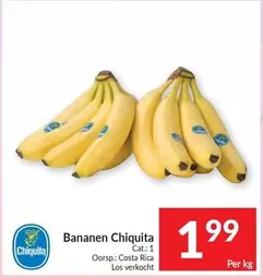 Cat - Bananen