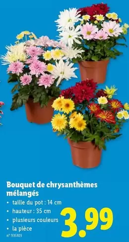 De - Bouquet de chrysanthèmes mélangés