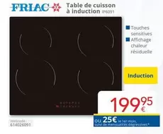 De - Table de cuisson à induction IP6091