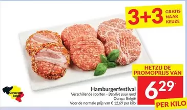 De - Hamburgerfestival