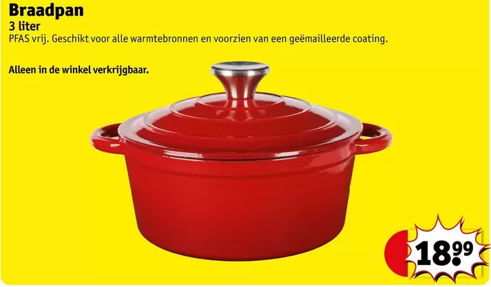 De - Braadpan