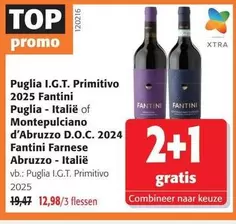 Puglia I.G.T. Primitivo 2025 Fantini
