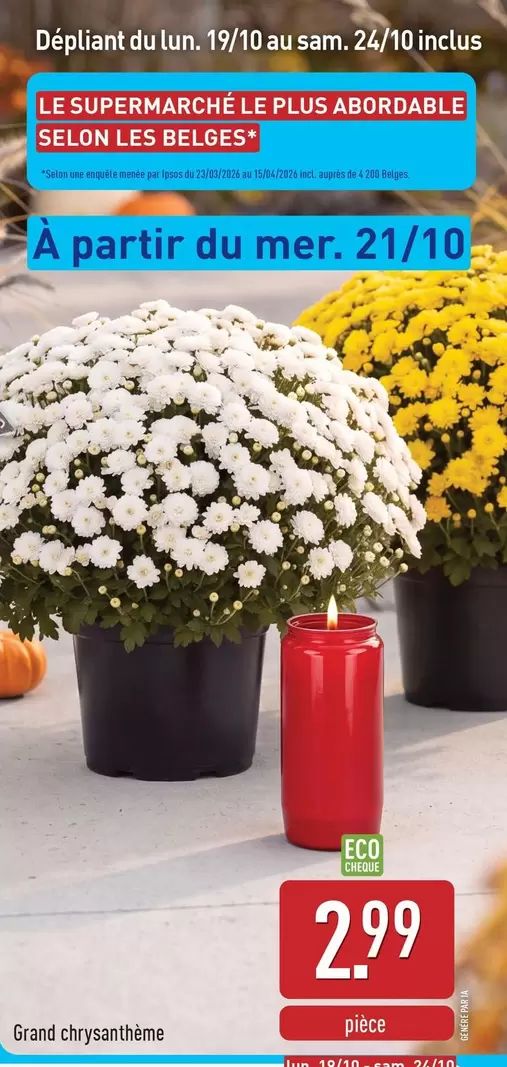 De - Grand chrysanthème