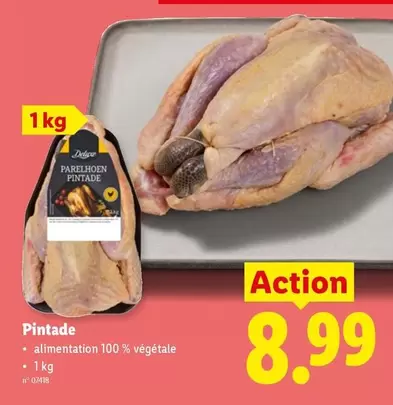 Pintade
