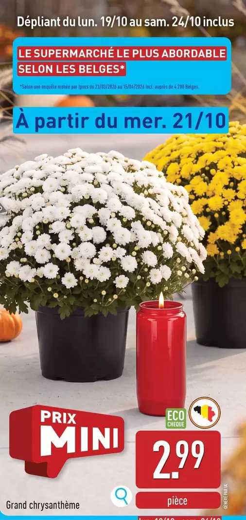 De - Grand chrysanthème