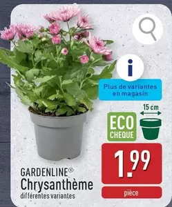 De - Chrysanthème
