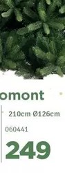 Mont