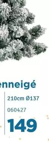Arbre enneigé 060427