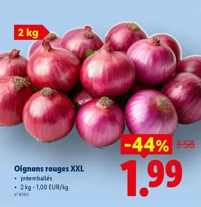 Oignons rouges XXL