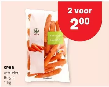 Wortelen