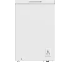 Friac Congélateur 100L BDV1240