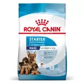 Royal Canin Maxi Starter Mother & Babydog Hondenvoer 4kg