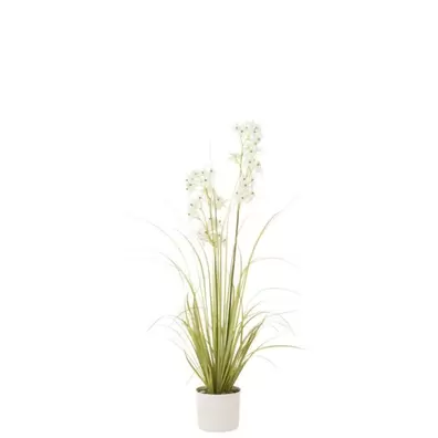 Sierui in kunststof pot groen/wit 35x35 cm - Witte Allium bloemen