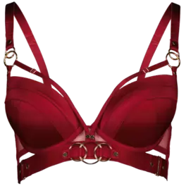 Super push up bra