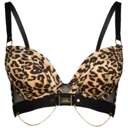 Super push up bra