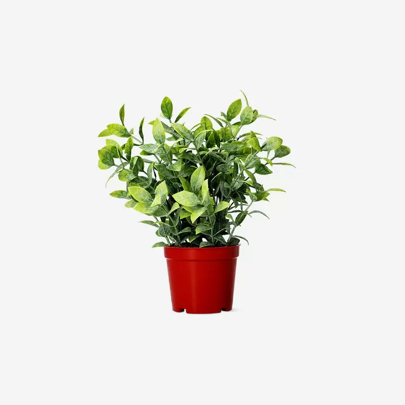 Plante artificielle décorative