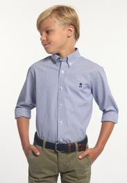 Chemise ajustée coton rayée bleue/blanche