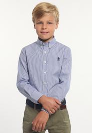 Chemise ajustée coton rayée bleue/blanche