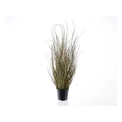 Gras in Pot Plastic - 140 cm