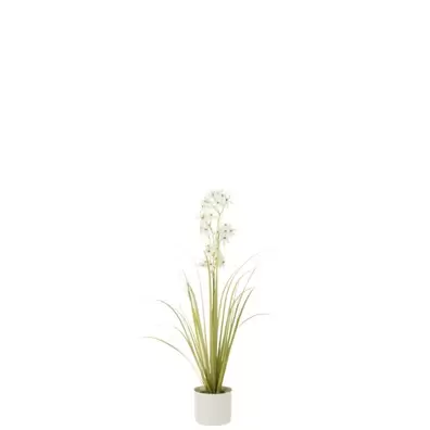 J-Line 33030 Allium In Pot Plastiek Groen/Wit Small - 15 x 15 x 92 cm