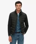 Veste softshell Storm Popper
