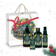 Ensemble Mandarine Aiguilles de Pin