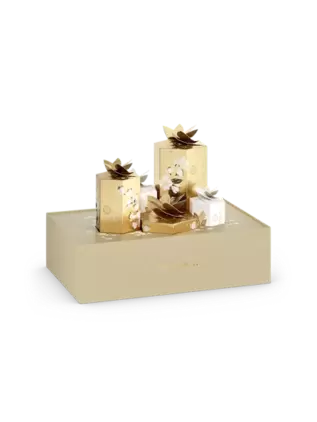 Premium Home Gift Set