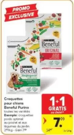 Croquettes pour chiens