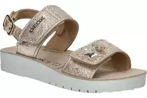 COSTAREIA2