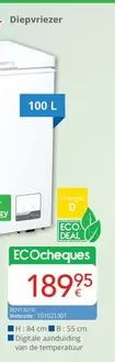 De - Diepvriezer 100 L