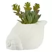 Plante grasse artificielle pot ciment forme coquillage blanc H15,5cm (2 modèles)
