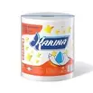 Rouleau essuie-tout ménager Karina multiusage 2 plis
