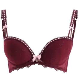 Super push up bra
